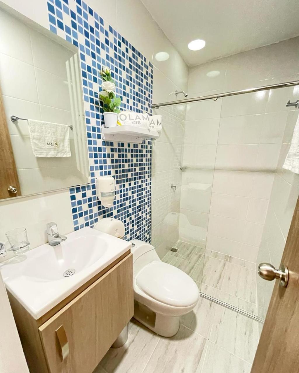 Hotel Olam Deluxe Valledupar Eksteriør billede